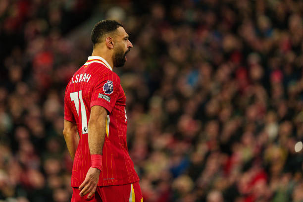 背景与成长 背景与成长