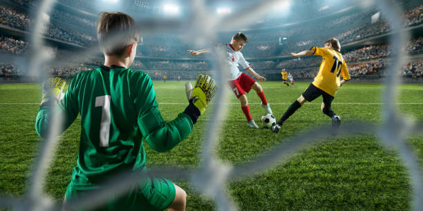 被如何使用 被如何使用